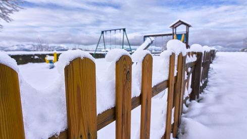 Acebo nieve 2019 Acebo nieve 2019