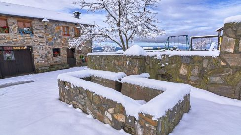 Acebo nieve 2019 Acebo nieve 2019