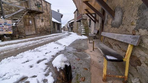 Acebo nieve 2019 Acebo nieve 2019