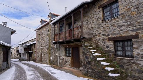 Acebo nieve 2019 Acebo nieve 2019