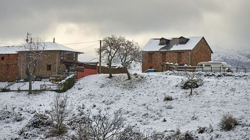 Acebo nieve 2019 Acebo nieve 2019