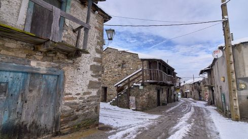 Acebo nieve 2019 Acebo nieve 2019