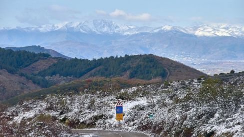 Acebo nieve 2019 Acebo nieve 2019