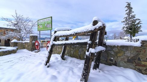 Acebo nieve 2019 Acebo nieve 2019