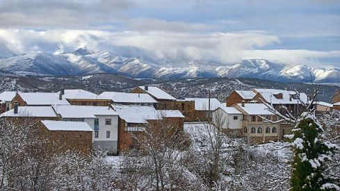 Acebo nieve 2019 Acebo nieve 2019