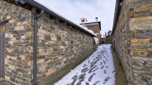 Acebo nieve 2019 Acebo nieve 2019