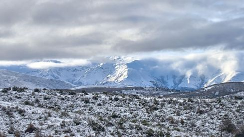 Acebo nieve 2019 Acebo nieve 2019