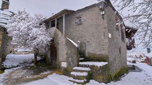 Acebo nieve 2019 Acebo nieve 2019