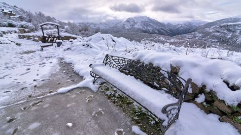 Acebo nieve 2019 Acebo nieve 2019