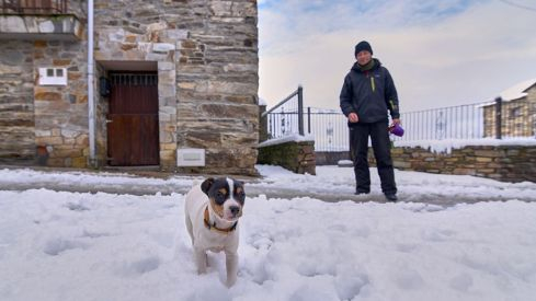 Acebo nieve 2019 Acebo nieve 2019