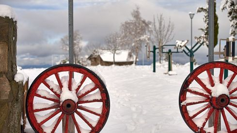 Acebo nieve 2019 Acebo nieve 2019