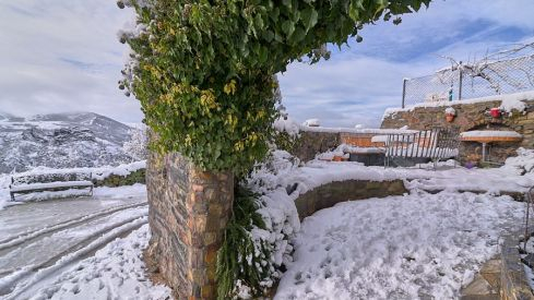 Acebo nieve 2019 Acebo nieve 2019