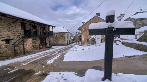 Acebo nieve 2019 Acebo nieve 2019