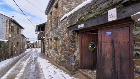 Acebo nieve 2019 Acebo nieve 2019