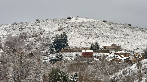 Acebo nieve 2019 Acebo nieve 2019