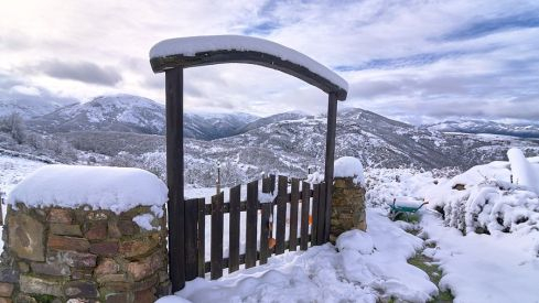 Acebo nieve 2019 Acebo nieve 2019