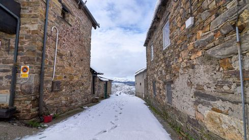 Acebo nieve 2019 Acebo nieve 2019