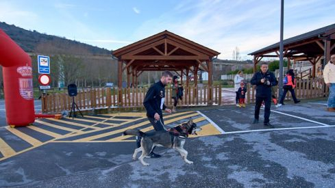 Carrera pavo Toral 2019