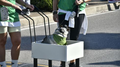 Marcha Contra el Cáncer Ponferrada 2022 