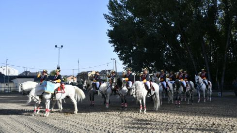 Espectáculo ecuestre de la Guardia Civil en Camponaraya