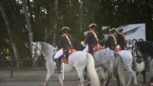 Espectáculo ecuestre de la Guardia Civil en Camponaraya