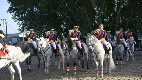 Espectáculo ecuestre de la Guardia Civil en Camponaraya