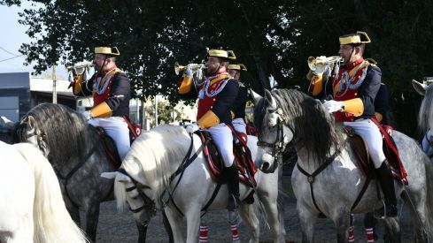 Espectáculo ecuestre de la Guardia Civil en Camponaraya