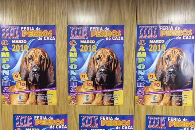 Presentacion Feria perros Caza Camponaraya 2019 635_2