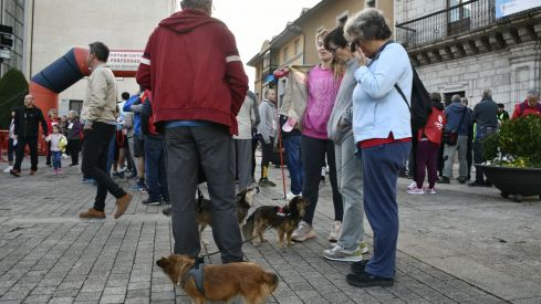 Marcha solidaria Congo