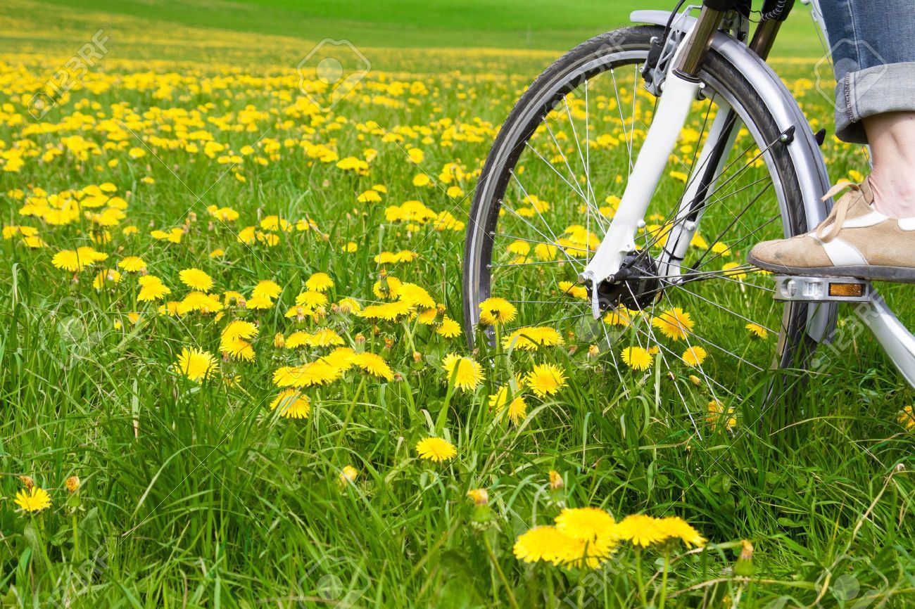 primavera bicicleta