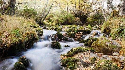 RUTA COLINAS DEL CAMPO - CAMPA DE SANTIAGO
