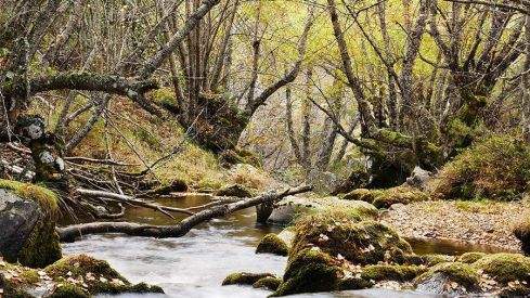RUTA COLINAS DEL CAMPO - CAMPA DE SANTIAGO