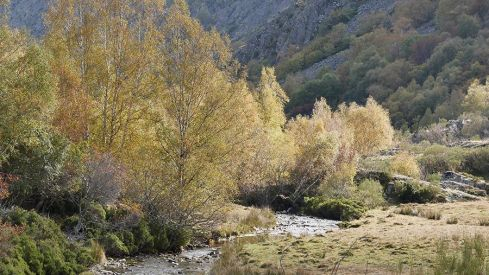 RUTA COLINAS DEL CAMPO - CAMPA DE SANTIAGO
