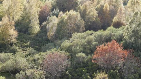 RUTA COLINAS DEL CAMPO - CAMPA DE SANTIAGO