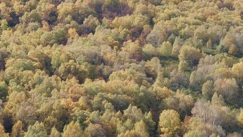 RUTA COLINAS DEL CAMPO - CAMPA DE SANTIAGO