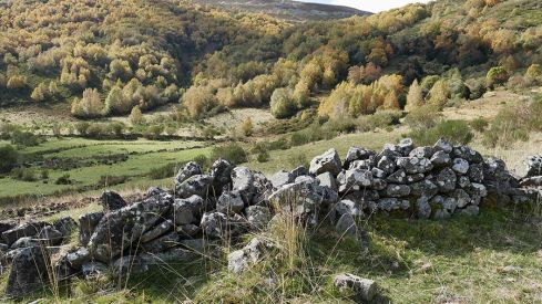 RUTA COLINAS DEL CAMPO - CAMPA DE SANTIAGO