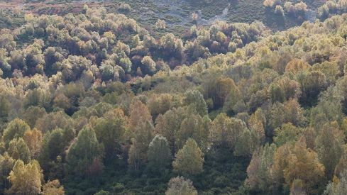RUTA COLINAS DEL CAMPO - CAMPA DE SANTIAGO