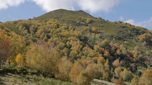 RUTA COLINAS DEL CAMPO - CAMPA DE SANTIAGO
