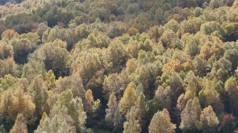 RUTA COLINAS DEL CAMPO - CAMPA DE SANTIAGO