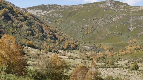 RUTA COLINAS DEL CAMPO - CAMPA DE SANTIAGO