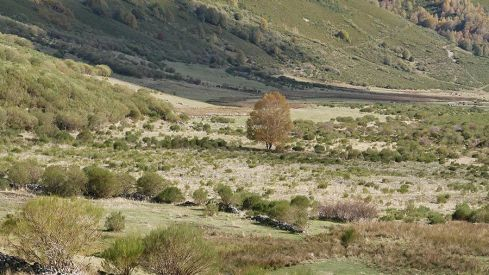 RUTA COLINAS DEL CAMPO - CAMPA DE SANTIAGO