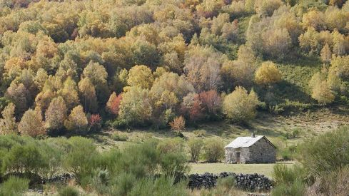 RUTA COLINAS DEL CAMPO - CAMPA DE SANTIAGO