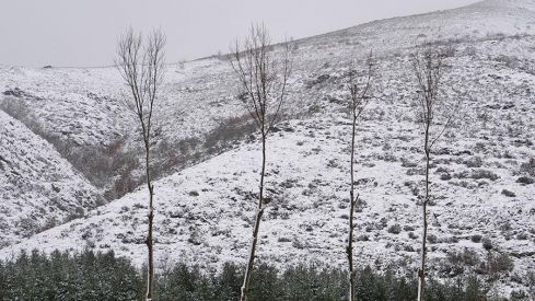COLINAS DEL CAMPO NEVADO 281220 COLINAS DEL CAMPO NEVADO 281220