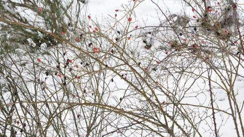 COLINAS DEL CAMPO NEVADO 281220 COLINAS DEL CAMPO NEVADO 281220