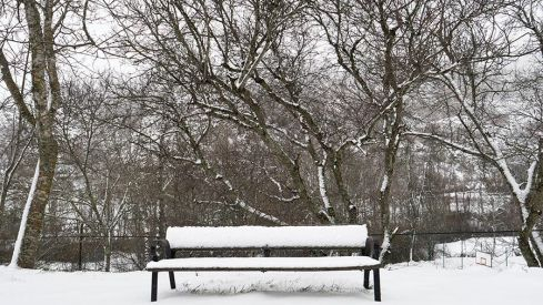COLINAS DEL CAMPO NEVADO 281220 COLINAS DEL CAMPO NEVADO 281220