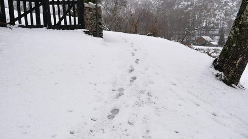 COLINAS DEL CAMPO NEVADO 281220 COLINAS DEL CAMPO NEVADO 281220