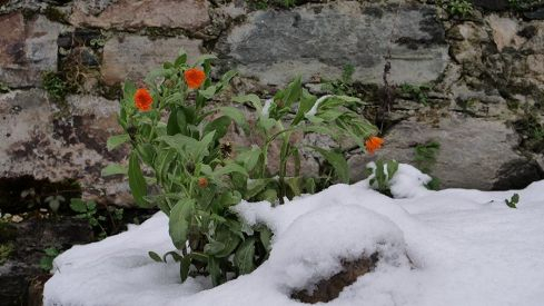 COLINAS DEL CAMPO NEVADO 281220 COLINAS DEL CAMPO NEVADO 281220