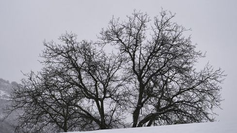 COLINAS DEL CAMPO NEVADO 281220 COLINAS DEL CAMPO NEVADO 281220