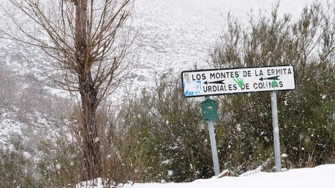 COLINAS DEL CAMPO NEVADO 281220 COLINAS DEL CAMPO NEVADO 281220
