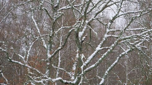 COLINAS DEL CAMPO NEVADO 281220 COLINAS DEL CAMPO NEVADO 281220